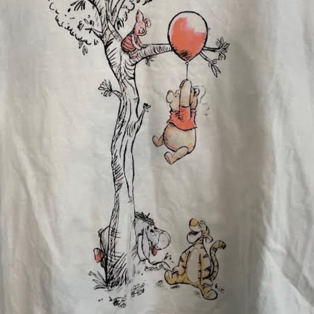 Disney Winnie the Pooh